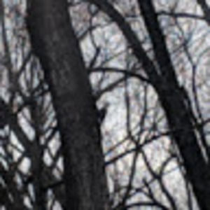 Meet your Posher, Alexander